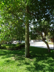 Mexiko Huatulco Urlaub