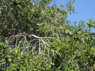 Mexiko Huatulco Urlaub