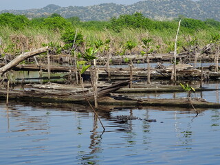 Mexiko Huatulco Urlaub