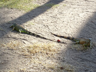 Mexiko Huatulco Urlaub