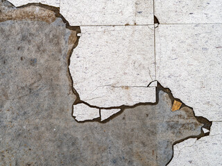 Remnants of a cracked linoleum tile floor
