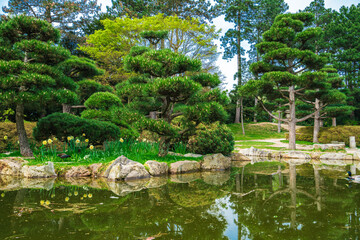 Fototapeta na wymiar Idyllic landscape of Japanese garden. Traditional japanese stone garden for meditation