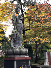 増上寺の聖観世音菩薩