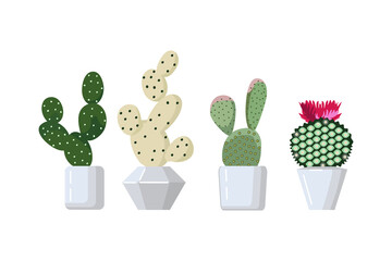 Cactus set, vector flat cartoon illustration.