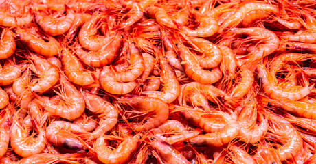 Fresh sea shrimps on the counter