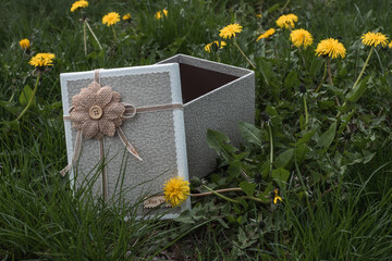 Gift box on the grass with dandelions