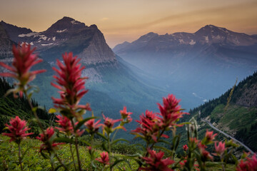 Going To The Sun Road and The Mountains In The Distance Through Red Paintbrush Blooms