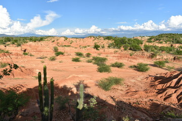 Fototapeta na wymiar Desierto Tatacoa procesos de erosión por agua. Desierto Rojo