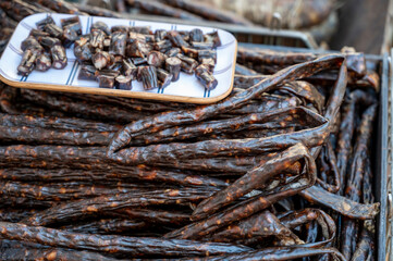 Corsican food, dried sausages salsiccia figatellu made from free-range or wild pigs on Corsica island, France