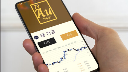 중요한 금속. 금 기금. 테마 펀드에 대한 투자를 다양화하십시오. 주식 거래소에 기금을 사십시오. 테마에 대해 추측합니다. 한국어로 된 텍스트. etf fund