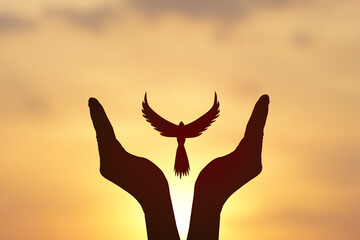 Concept of freedom. shadow dove flies over a human hand. golden sun background in the...