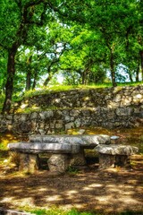 Stone table in the middle of the forest
