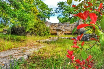 Tree with red leaves with background of old stone ruins in the middle of nature
