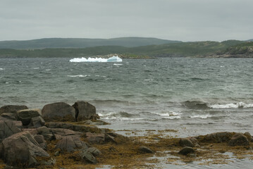 Fototapeta na wymiar An iceberg melts in a bay in Newfoundland