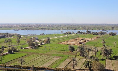 A green farm with trees and agriculture in Minya with ariel view from jabal el tayr in Egypt
