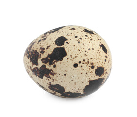 One beautiful quail egg isolated on white