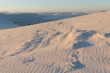 Hardened sand pokes through the gypsum dunes in White Sands National Park at sunset