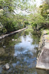 小川のせせらぎ散歩道