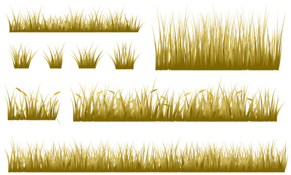grass brown, reeds brown, dry grass set isolated