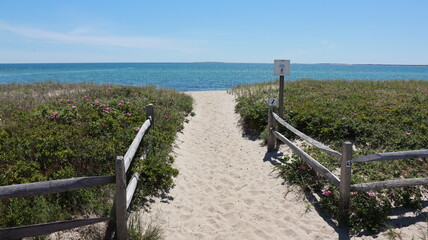 Fototapeta na wymiar A sandy path to the beach, with plants on the sides, blue sea and blue sky, in Martha's Vineyard