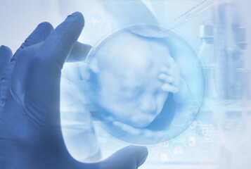 胎児の3D写真 - obrazy, fototapety, plakaty