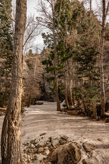 Ice river