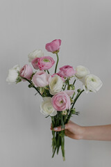 Beautiful Bouquet of pink ranunculus ( ranunculus ) on a white background