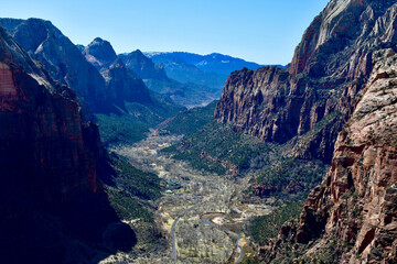 Fototapeta premium zion national park