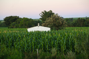 cemetery in the middle of cornfields