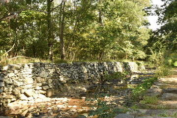 stone wall in the forest