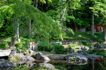東京都港区芝公園の自然の景色