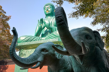 Statues of elephants in front of Great Buddha at Toganji temple. Nagoya. Japan