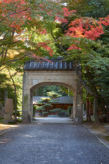 Fototapeta premium Shomon (front) gate of Toganji temple. Nagoya. Japan