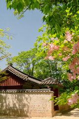 Spring of Jongmyo Shrine in Seoul, Korea