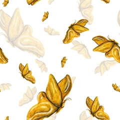 Watercolor pattern golden butterfly with wings in the sky, on a white background for your seamless design, hand drawn illustration