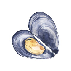 Watercolor opened mussel © darina.ill