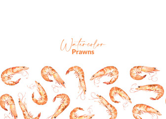 Border with watercolor illustrated prawns