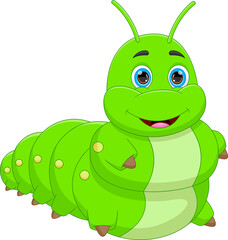 cute caterpillar cartoon on white background