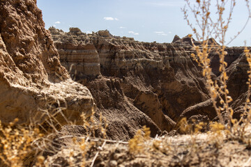 Fototapeta na wymiar The sedimentary rock of Badlands National Park can be seen through some foliage in the foreground in South Dakota