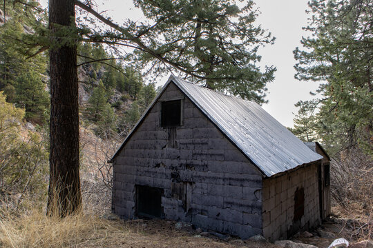 An old abandoned miner's cabin sits in the woods 
