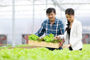 businesswoman and farmer picking and checking organic vegetables together in hydroponic farm