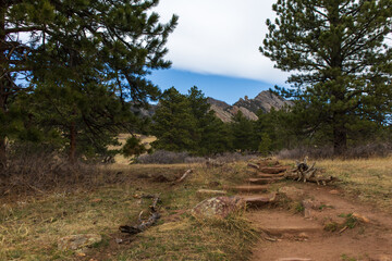 A hiking trail winds through the forest scenery with the Rocky Mountains of Colorado in the background