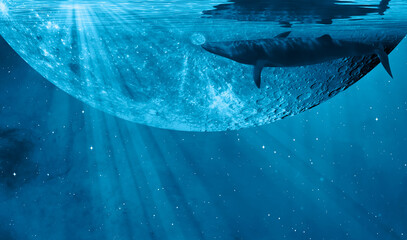 Surreal dream image of big whale flying over blue clouds with full moon in the background - Night landscape concept 