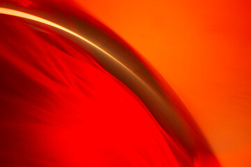 強烈な赤色で形を表現しました。