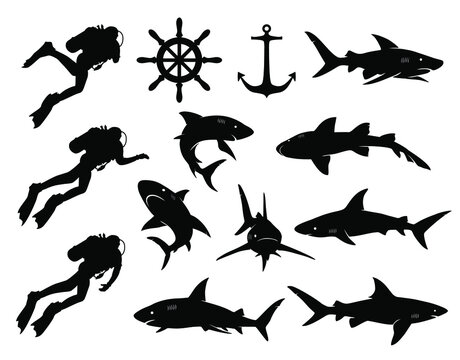 Diver, scuba diver, diving, shark silhouette Images isolated on white. Vector set. Danger shark.
