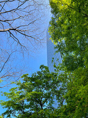 Beautiful fresh green and futuristic office buildings