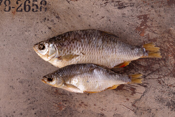 two dried fish lie on a sheet of rusty iron