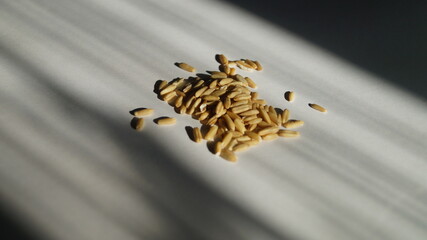 маленькая кучка крупы на белом фоне при естественном свете