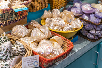 Seashells in a basket in a gift shop.