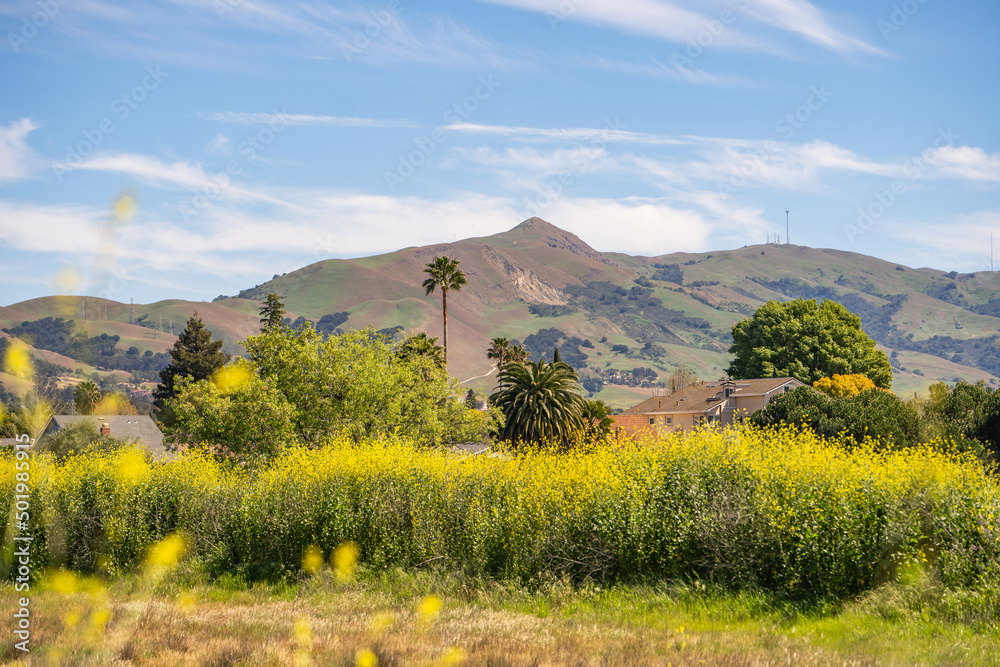 Sticker Scenic view of Mission Peak, Fremont Central Park.